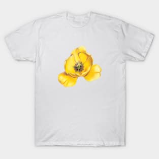 Yellow Tulip Flower T-Shirt